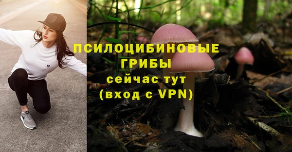 spice Армянск