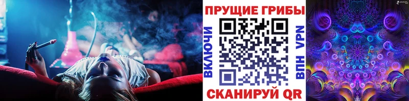 Псилоцибиновые грибы Cubensis  Купить  Венёв 